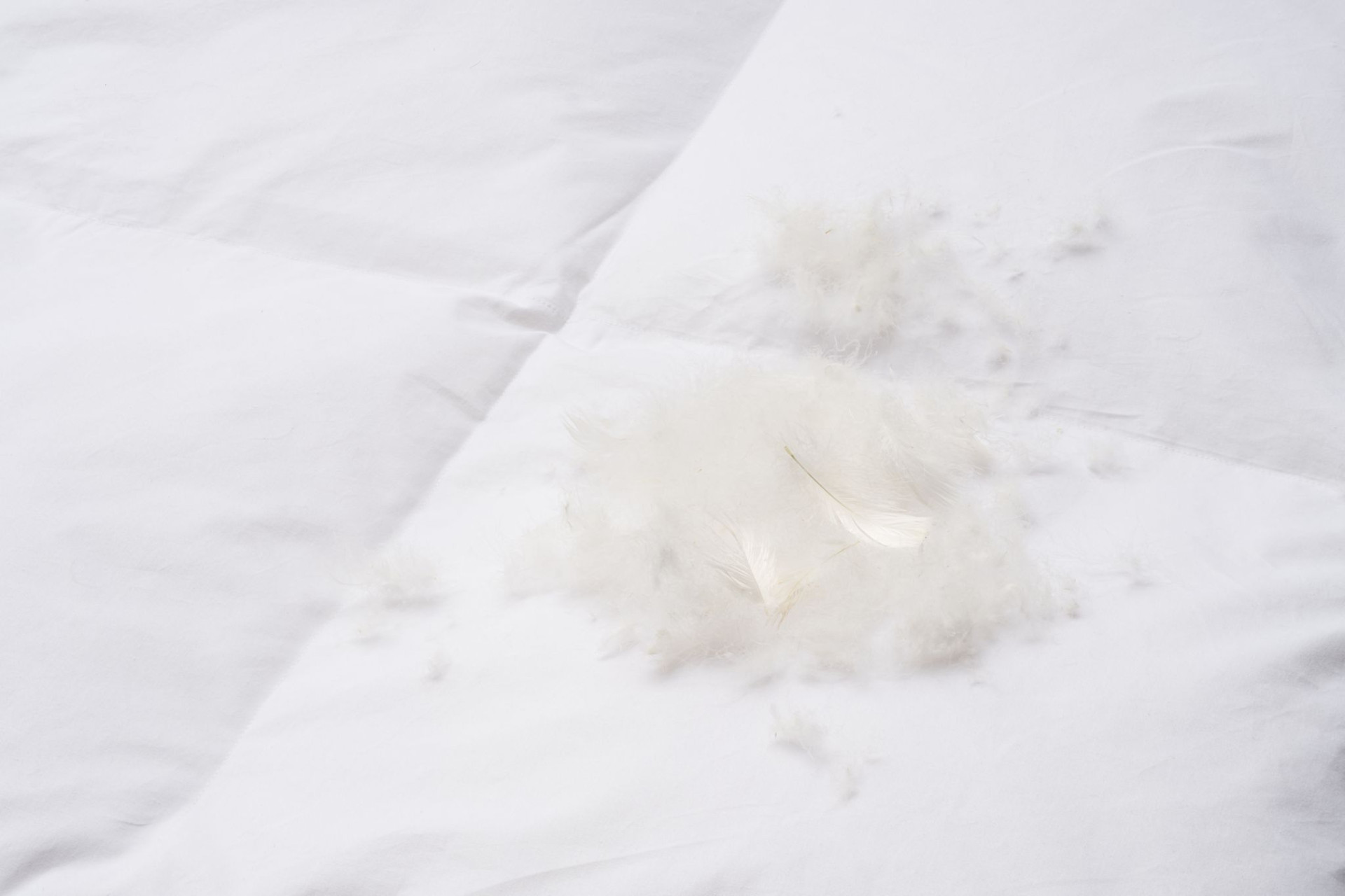 The quality of down matters to us, its origin and its strict processing methods.